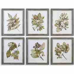 Seedlings-Framed Prints