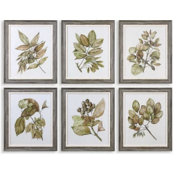 Seedlings-Framed Prints