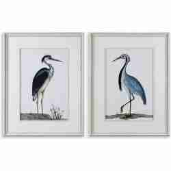 Shore Birds-Framed Bird Prints