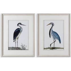 Shore Birds-Framed Bird Prints