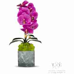 Single Fuchsia Orchid with Moss in Black and Gray Faux Marble Container - 8L x 8W x 24H Floral Arrangement