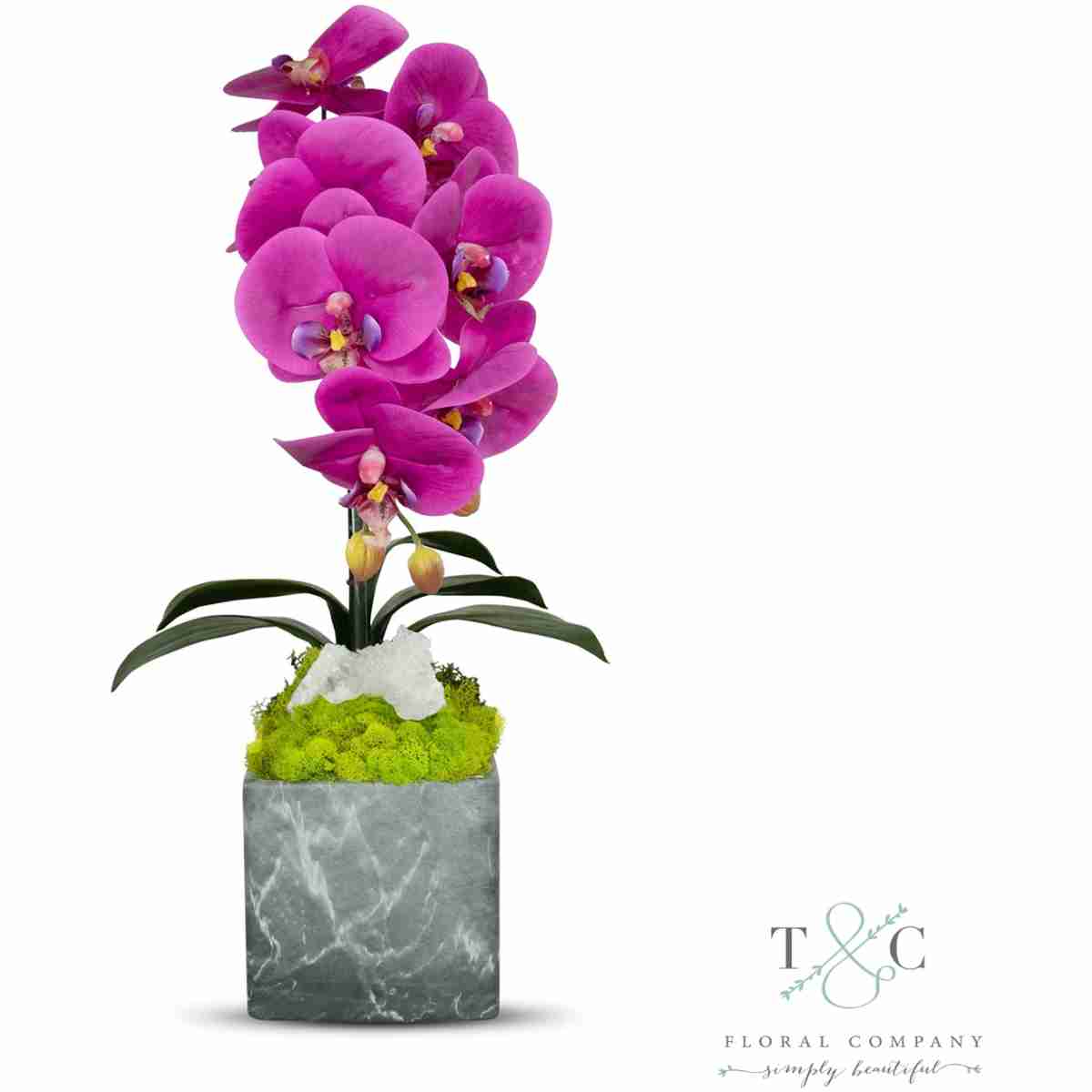 Single Fuchsia Orchid With Quartz In Black And Gray Faux Marble Container - 8L X 8W X 24H Floral Arrangement