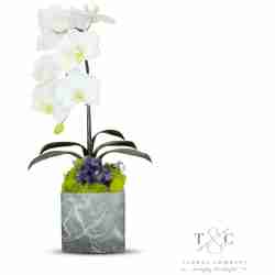 Single White Orchid with Amethyst in Black and Gray Faux Marble Container - 8L x 8W x 24H Floral Arrangement