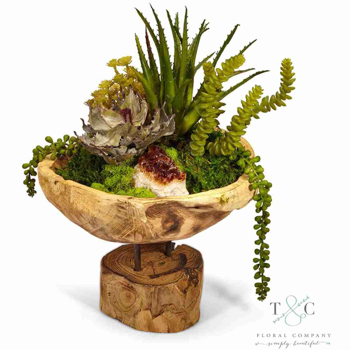 Succulent Garden In Wood Bowl Platform - 12L X 12W X 17H Floral Arrangement