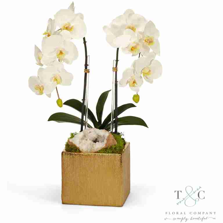 White Double Orchid in Gold Square - 10L x 9W x 21H Floral Arrangement