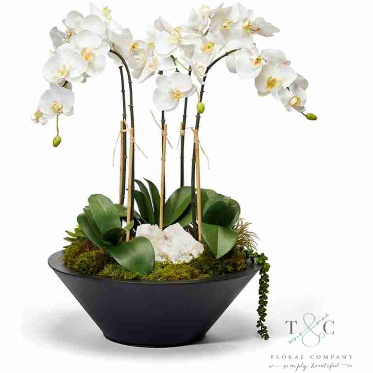 White Orchids in Sleek Metal Container - 22L x 22W x 26H Floral Arrangement