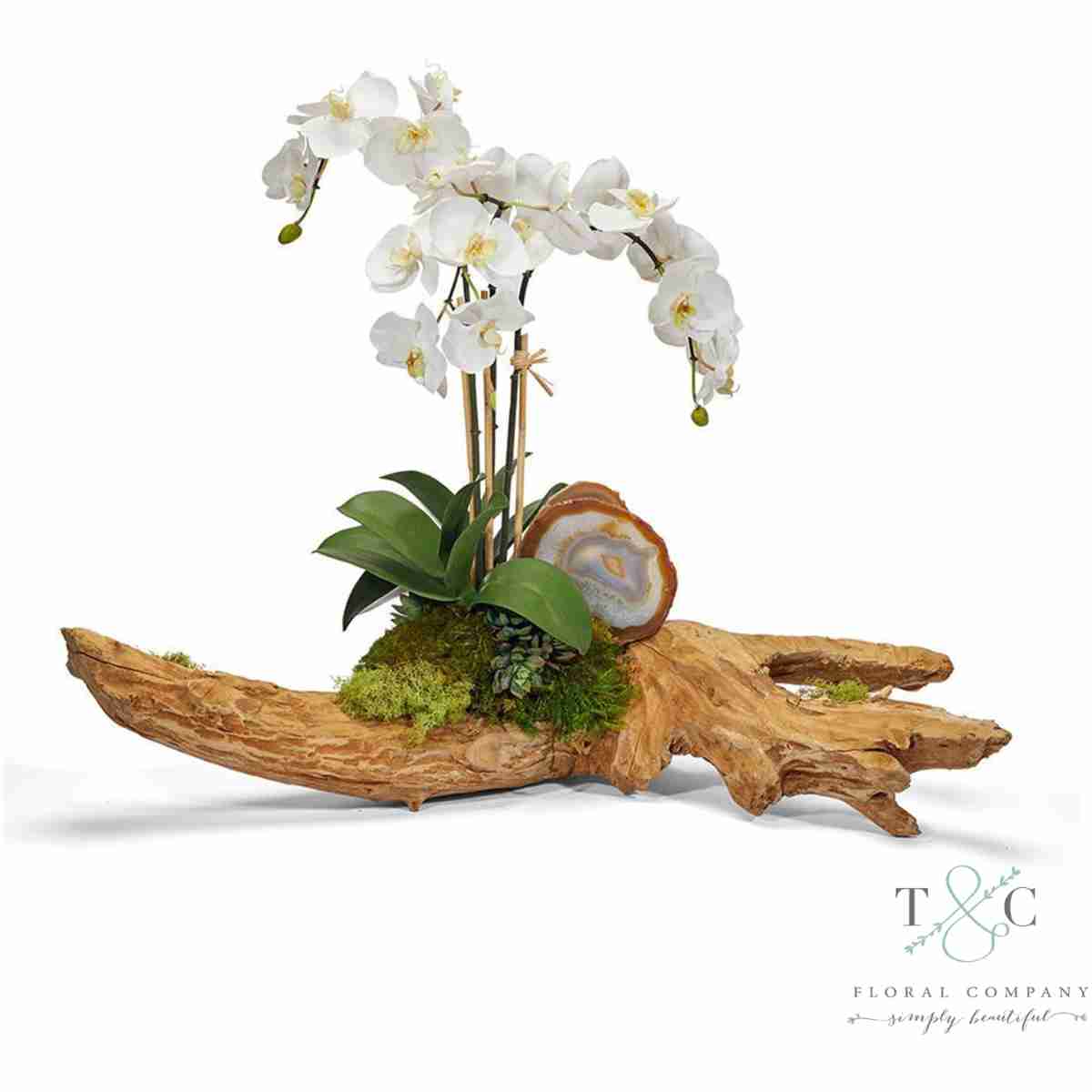 White Orchid On Driftwood - 24L X 12W X 25H Floral Arrangement