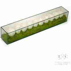 White Preserved Roses in Rectangle Glass - 24L x 4W x 4L Floral Arrangement