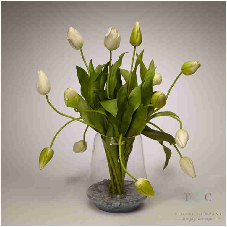 White Tulips in Clear Glass Vase - 21L x 21W x 24H Floral Arrangement