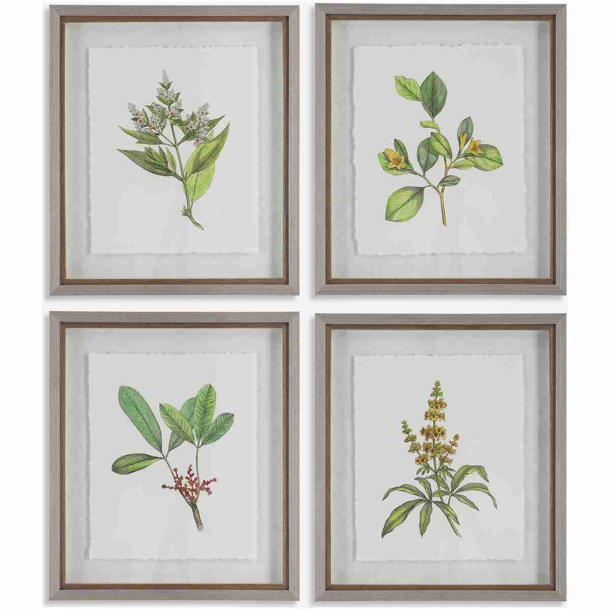 Wildflower Study-Leaf / Floral Art