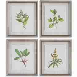 Wildflower Study-Leaf / Floral Art