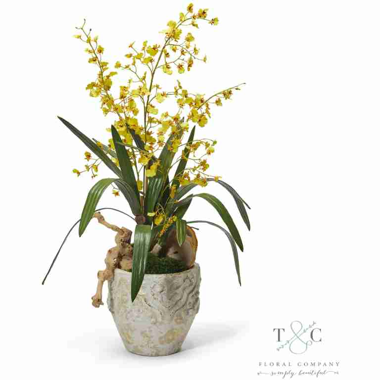 Yellow Dancing Orchids - 33L X 14W X 14H Floral Arrangement